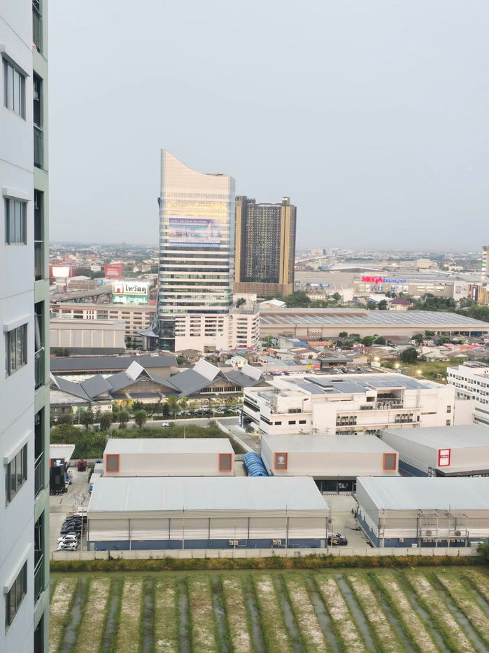 รูป คอนโด ลุมพินี เมกา ซิตี้ บางนา ราคาดีที่สุด! ชั้น 25 ตึก D| อีฟ 094-342-3498 | Line: @hatcheryAgent - รูปที่ 3/12