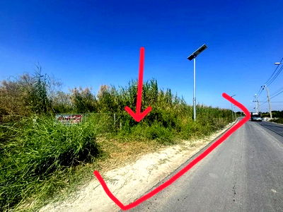 ที่ดิน นิคมอุตสาหกรรมบางพลี : ขายถูก ที่ดินแปลงใหญ่ 67-0-76 ไร่ ลาดหวาย ต.บางเพรียง สมุทรปราการ