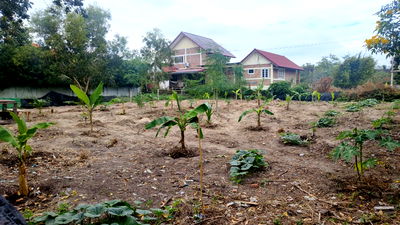 ที่ดิน ชะอำ เพชรบุรี : ขายถูก ที่ดินแปลงเล็ก หาดสุขเสมอ ชะอำ
