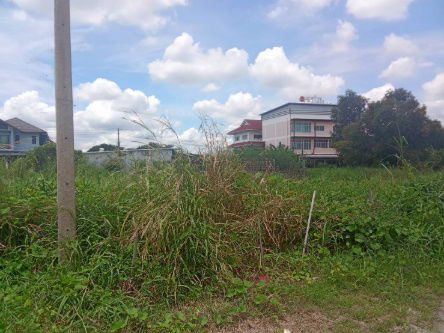 รูป ขายที่ดิน 102 ตร.ว. ต.ศาลายา อ.พุทธมณฑล จ.นครปฐม (ใกล้ ม.มหิดล) - รูปที่ 6/11