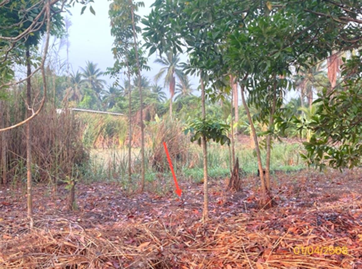 picture LAND for sale  Khlong Ton Ban Phaeo Samut Sakhon - 8/14