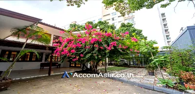 Houses for rent Big C Super Center Ekkamai : 🔼🔽 AccomA 📩 Pet friendly,Home Office 3 BR House in Khlong Tan Nuea (AA25069)