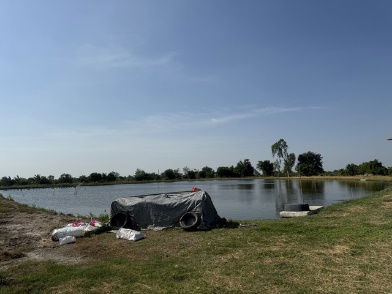 รูป ขายที่ดิน ทำเลดี 8 ไร่ ผังสีเหลือง ถนนรัตนโกสินทร์ 200 ปี บางบ่อ - รูปที่ 3/7