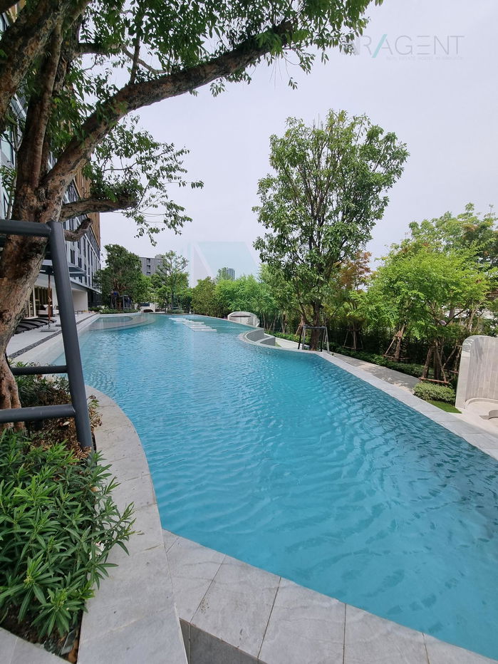 picture For Rent Condo ATMOZ TROPICANA BANGNA Building C, Floor 4,1 bed room, Room size 26 sqm - 4/8