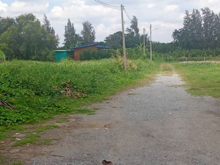 รูป ขายที่ดิน 102 ตร.ว. ต.ศาลายา อ.พุทธมณฑล จ.นครปฐม (ใกล้ ม.มหิดล) - รูปที่ 3/11