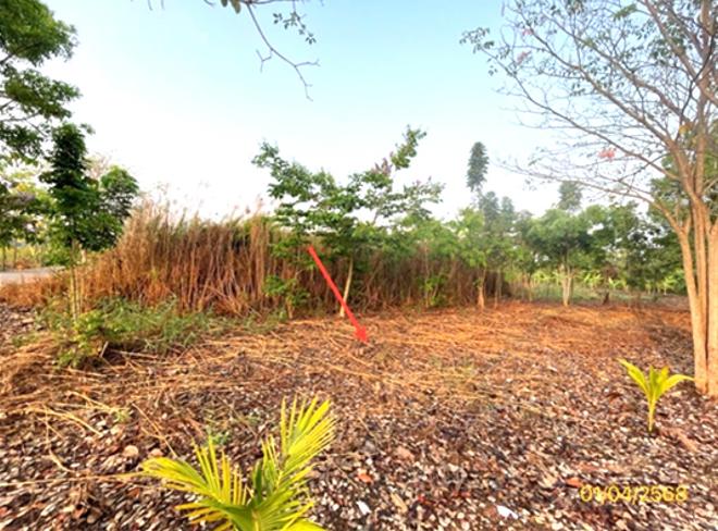 picture LAND for sale  Khlong Ton Ban Phaeo Samut Sakhon - 4/14