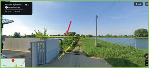 ขายที่ดิน ทำเลดี 8 ไร่ ผังสีเหลือง ถนนรัตนโกสินทร์ 200 ปี บางบ่อ