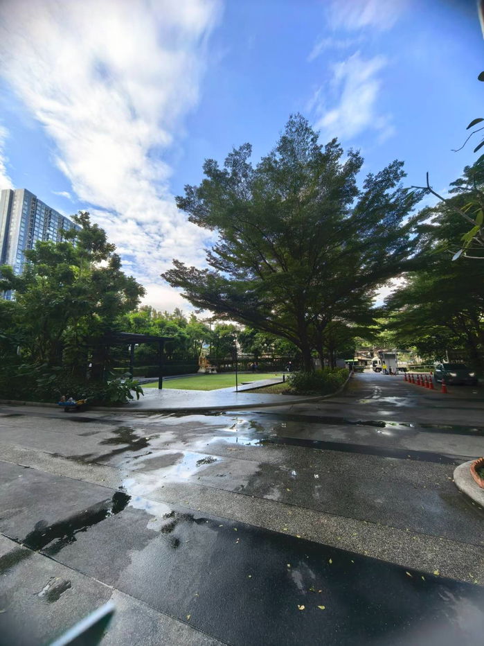 รูป Condo for Sale: Artemis Sukhumvit 77 Near BTS On Nut - รูปที่ 19/30