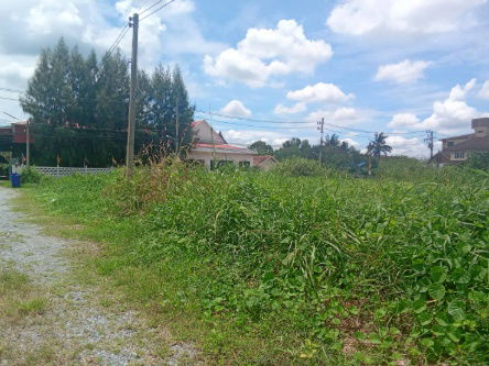 รูป ขายที่ดิน 102 ตร.ว. ต.ศาลายา อ.พุทธมณฑล จ.นครปฐม (ใกล้ ม.มหิดล) - รูปที่ 5/11