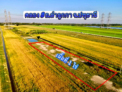 ที่ดิน ลำลูกกา ปทุมธานี : ขายที่ดินคลอง 8 ลำลูกกา ปทุมธานี 1 ไร่ ทำเลดี ใกล้ชุมชน ราคา 1.9 ล้าน