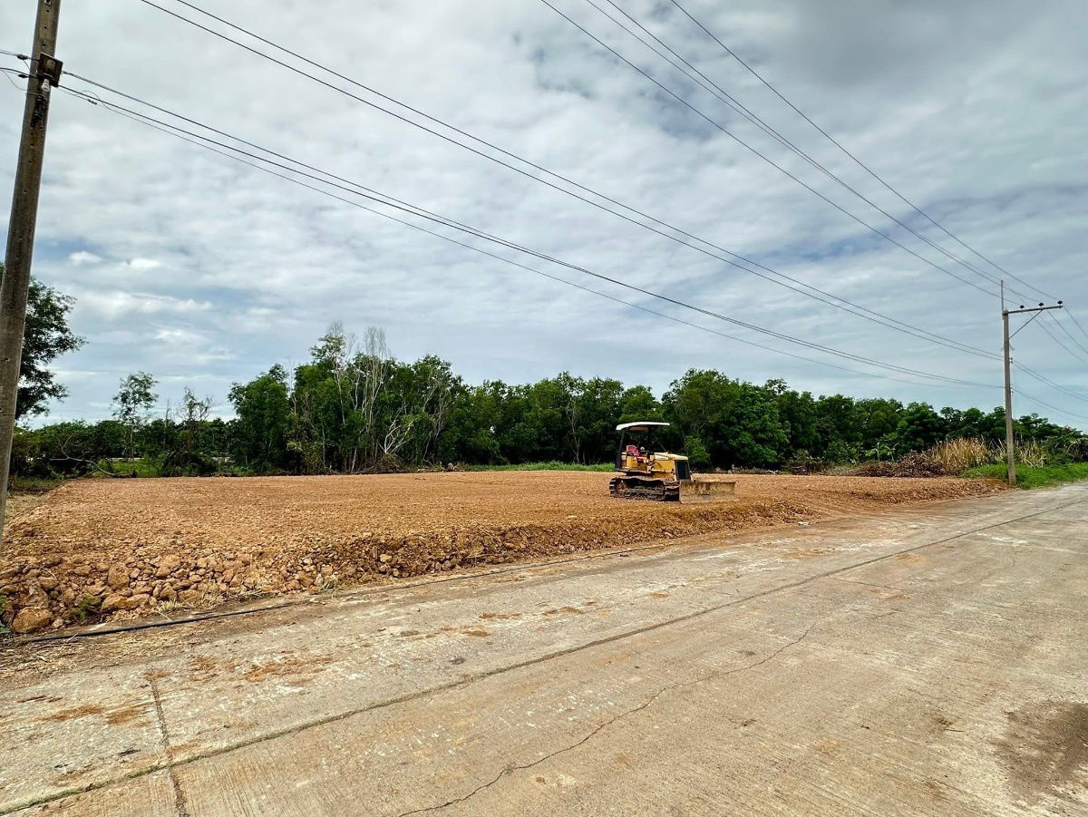 รูป ที่ดิน 56 ตรว และ 112 ตรว คลอง 2 - รูปที่ 4/8