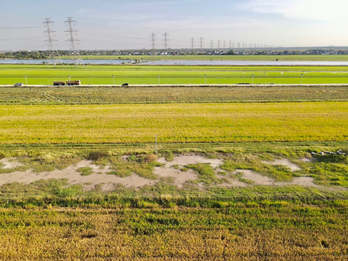 รูป ขายที่ดินคลอง 8 ลำลูกกา ปทุมธานี 1 ไร่ ทำเลดี ใกล้ชุมชน ราคา 1.9 ล้าน - รูปที่ 6/10