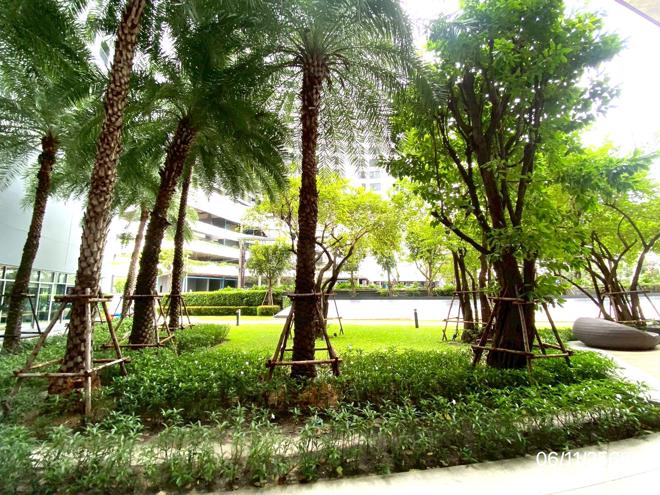 picture CONDO Studio, 21.99 Square meter for sale at CONDO for sale Bang Na Bang Na Bangkok - 9/24