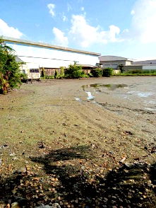 ที่ดิน เมืองสมุทรสาคร สมุทรสาคร : ขายที่ดิน เมืองสมุทรสาคร 15-0-27.9 ไร่ บนถนนเลียบคลองบางน้ำจืด ผังสีชมพู