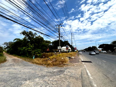 ที่ดิน ธัญบุรี ปทุมธานี : ขายที่ดินติดถนนใหญ่ ถ.รังสิต-นครนายก คลอง11  