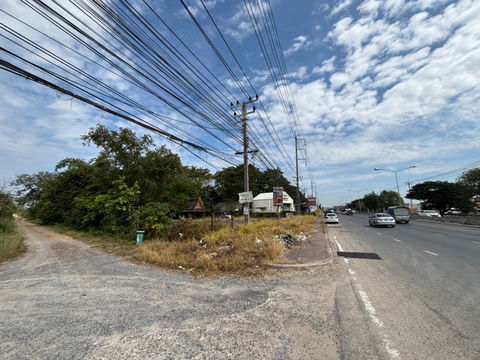 ขายที่ดินติดถนนใหญ่ ถ.รังสิต-นครนายก คลอง11  
