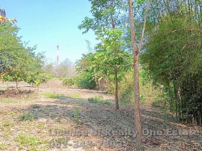 ขายที่ดินถมแล้ว พิษณุโลก ติดถนนใหญ่ นครไทย–ชาติตระการ  ทำเลศักยภาพ เหมาะพัฒนาโครงการบ้านจัดสรร / ทาวน์เฮ้าส์