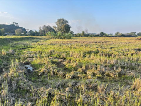 🔥 ขายที่สวยเกือบ 4 ไร่! ต.จันจว้า อ.แม่จัน เชียงราย