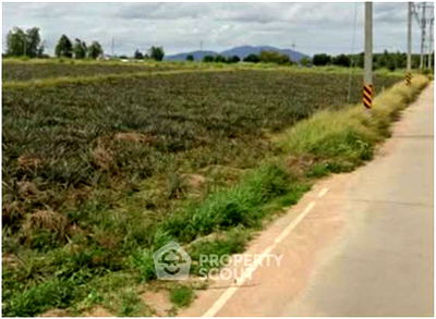 ที่ดิน ศรีราชา ชลบุรี : ที่ดินสำหรับปล่อยขาย 16,000 ตารางเมตร แถว ใน หนองขาม (ID 2469036)