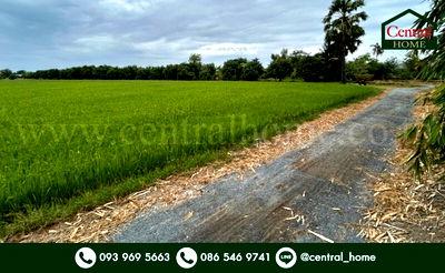 ขายที่ดิน : ที่ดิน 9-3-99.5 ไร่ ดอนโพธิ์ - สุพรรณบุรี มีผู้เช่า ทำเลดี