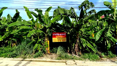 ที่ดิน เมืองนนทบุรี นนทบุรี : ขายด่วน ที่ดินในซอยเรวดี ซอย 8