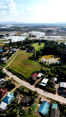 ขายที่ดิน : บ้านพร้อมที่ดิน 21 ไร่ ใกล้เมืองเชียงราย ติดถนนสาย 1152