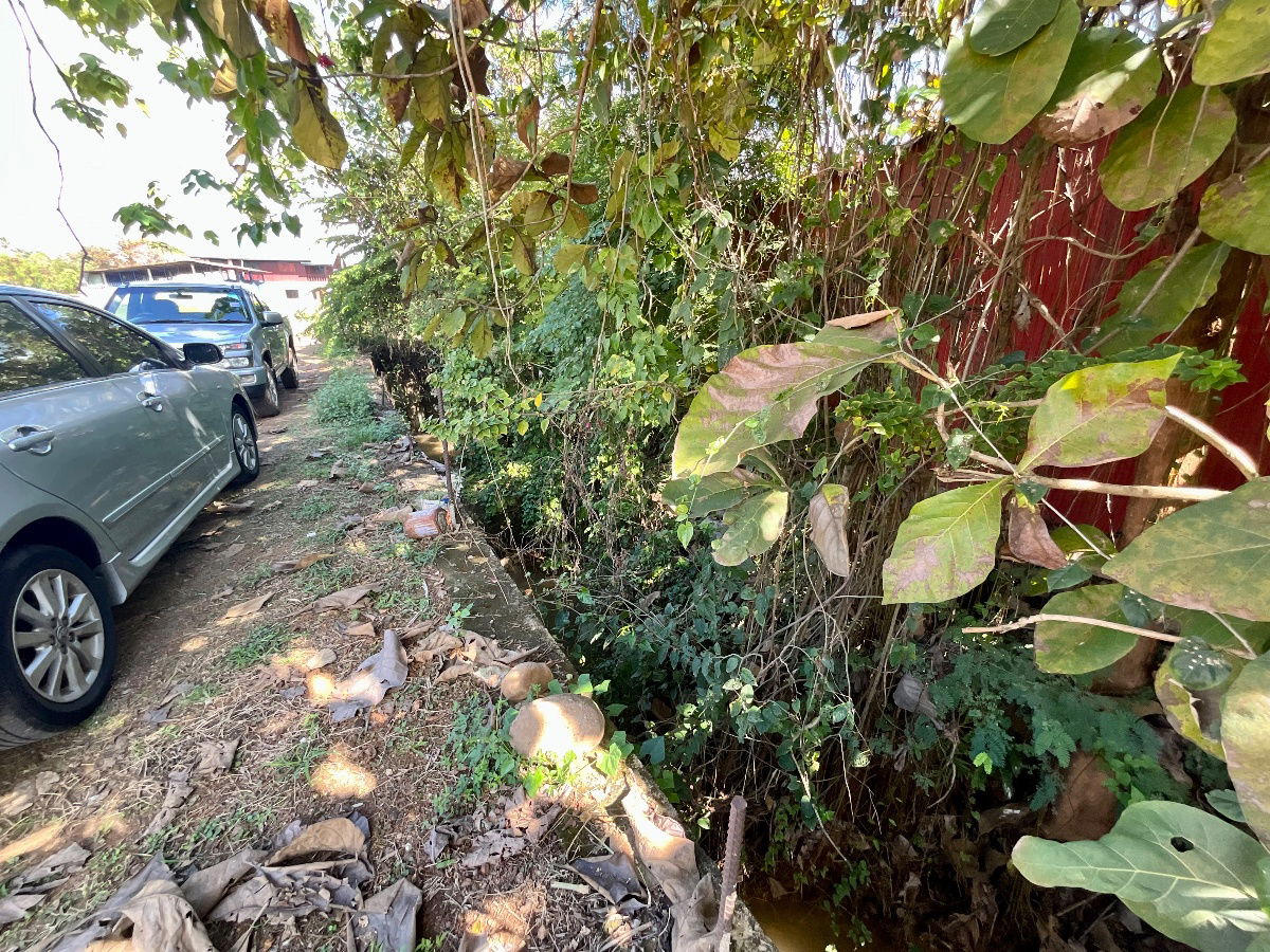 รูป โอกาสสุดท้ายก่อนราคาพุ่ง ที่ดินธุรกิจหายาก หน้าถนนใหญ่ 1083 ใจกลางอำเภอนาน้อย - รูปที่ 20/21