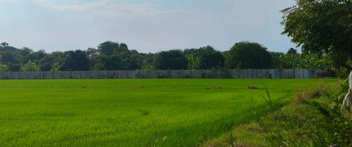 รูป ขายที่ดินแปลงสวย ทำเลดี ใกล้ถนน 346 เพียง 2.7 กม.ลาดหลุมแก้ว บน ถ.เทศบาล 4 -เนื้อที่ 12 ไร่ 3 งาน 87.7 วา2 - รูปที่ 2/8