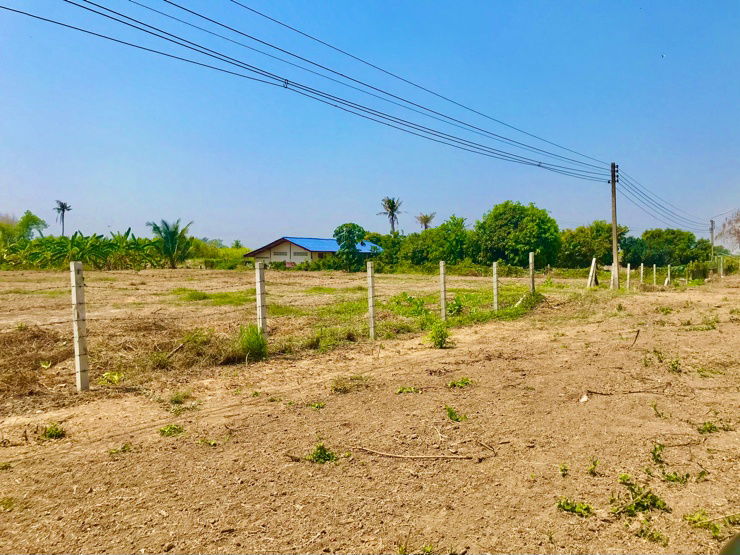 รูป ขายที่ดินถมแล้ว แสวงหา  จ. อ่างทอง - รูปที่ 3/9