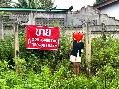 ขายที่ดิน : (ถูกมาก) ที่ดินบ้านนาสาร ติดถนน 4 เลน เหมาะแก่การเปิดร้านค้า/ทำธุรกิจ 