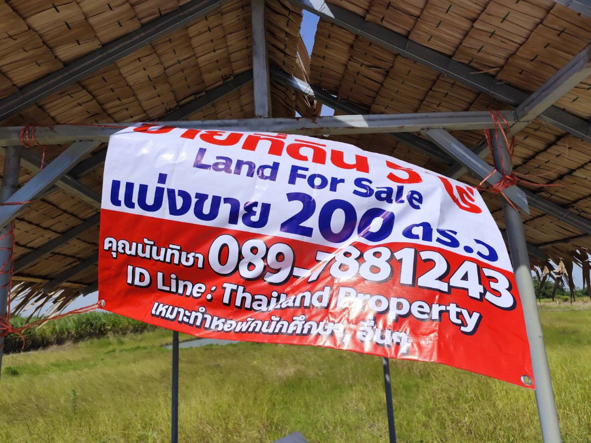 picture Vacant land for sale, a natural plot amidst cornfields, near Kasetsart University, Kamphaeng Saen  Nakhon Pathom. Quiet with good winds, fresh air - 6/9
