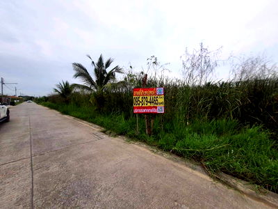 ที่ดิน ถนนรังสิต-นครนายก : ร้อนเงินขายถูกที่สุดที่ดินบ้านกลาง 244 ตรว ติดถนนคอนกรีตสาธารณะ ซ.โม่ฮวด 7 เมืองปทุมธานี 