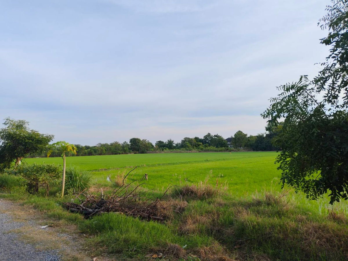 รูป ขายที่ดินแปลงสวย ทำเลดี ใกล้ถนน 346 เพียง 2.7 กม.ลาดหลุมแก้ว บน ถ.เทศบาล 4 -เนื้อที่ 12 ไร่ 3 งาน 87.7 วา2 - รูปที่ 1/8