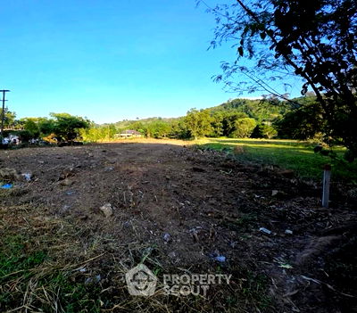 Land for sale Thalang Phuket : 4,000 m² Land for Sale in Sakhu (ID 2468289)