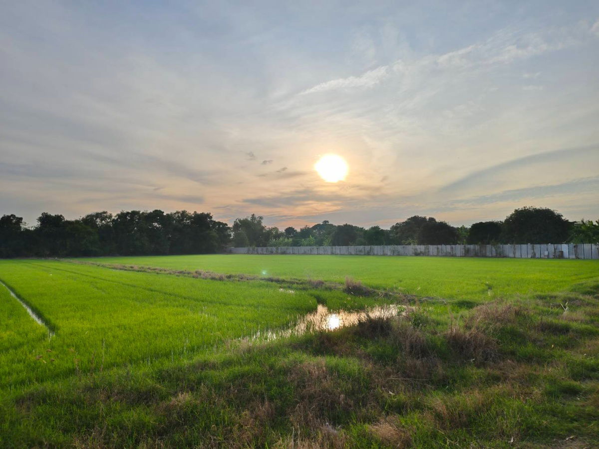 รูป ขายที่ดินแปลงสวย ทำเลดี ใกล้ถนน 346 เพียง 2.7 กม.ลาดหลุมแก้ว บน ถ.เทศบาล 4 -เนื้อที่ 12 ไร่ 3 งาน 87.7 วา2 - รูปที่ 3/8