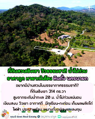 ที่ดิน เมืองนครนายก นครนายก : 🔥 Rare Item! ขายที่ดินสวนผลไม้เชิงเขา นครนายก | ผลผลิตพร้อมเก็บ | น้ำไม่ท่วม 100% 🏔 วิวเขาโอบล้อม สูงจากระดับน้ำทะเล 20 ม. บรรยากาศรีสอร์ทส่วนตัว