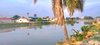 เช่าบ้านเดี่ยว ถนนกรุงเทพ-ชลบุรี มอเตอร์เวย์ : ให้เช่าห้องพักรายวัน รายเดือน ติดแม่น้ำท่าจีน ต บางปลา บางเลน นครปฐม