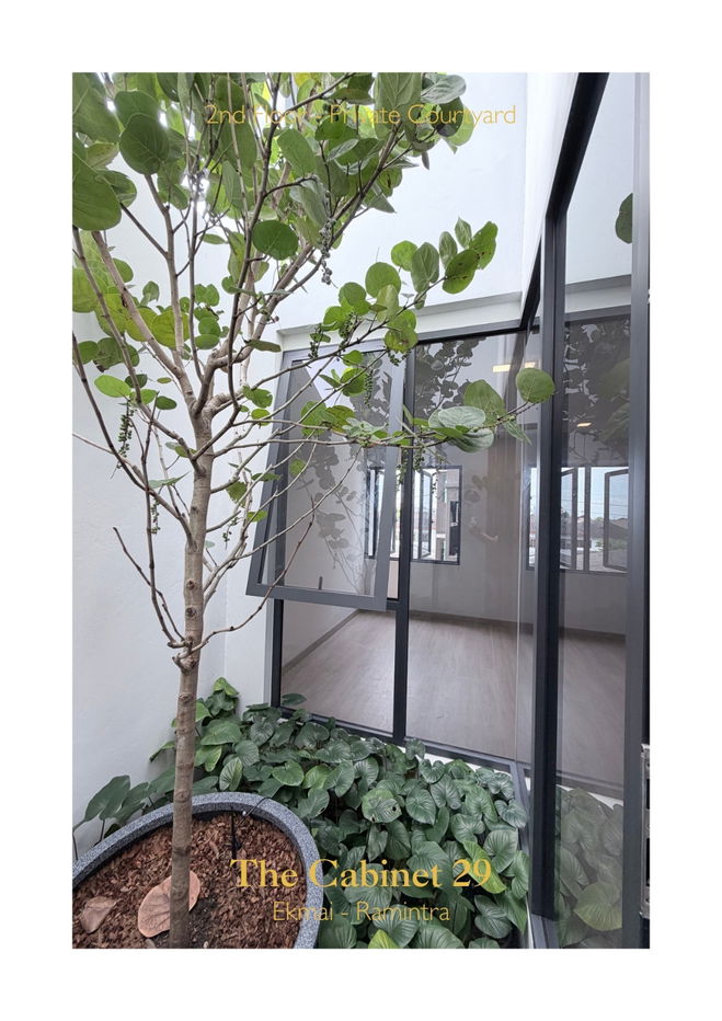 รูป The Cabinet 29 – Exclusive Townhome ขายบ้านใหม่ 3.5 ชั้น ดีไซน์หรูไม่เหมือนใคร มีสวนส่วนตัวรอบบ้าน 🌳  - รูปที่ 17/34