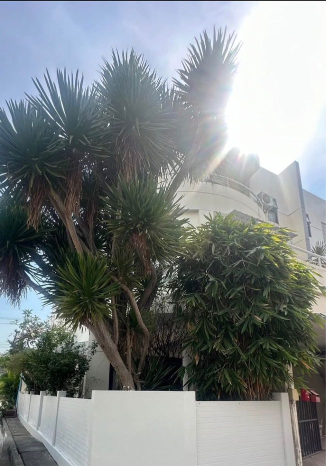 picture #R8282 🎉 171268 House for Rent: Prime Place 105 Village (Lasalle 77) - 2/14