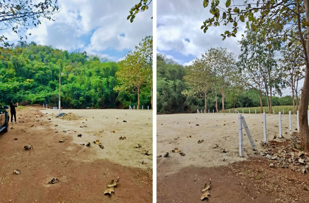 picture Call : 098-242-9982 Land For Sale - 9/10