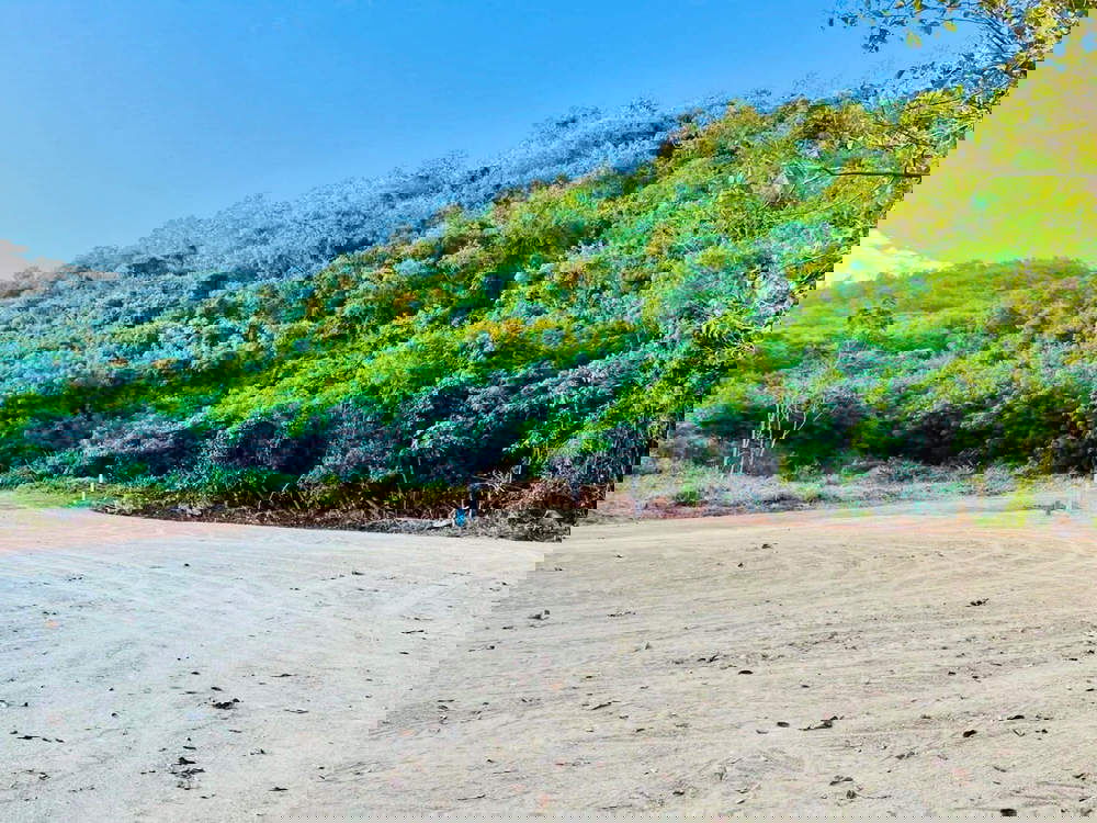 picture Call : 098-242-9982 Land For Sale - 5/10