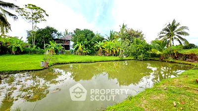 ที่ดิน สันทราย เชียงใหม่ : ที่ดินสำหรับปล่อยขาย 1,764 ตารางเมตร แถว ใน เมืองเล็น (ID 2475672)