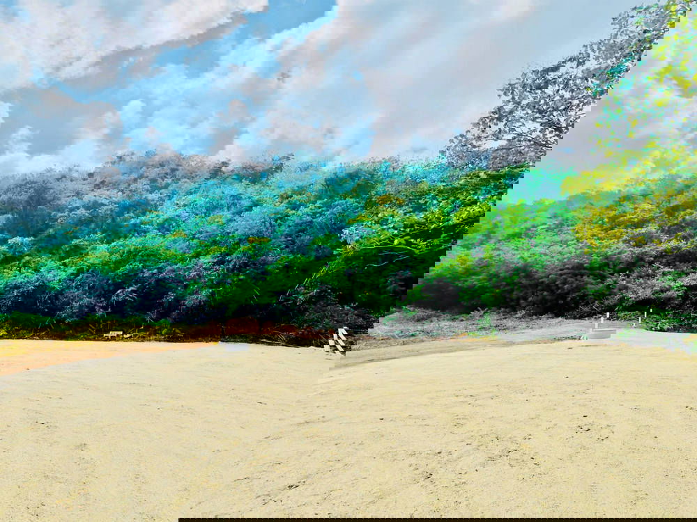 picture Call : 098-242-9982 Land For Sale - 6/10