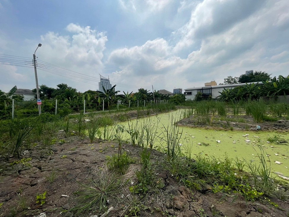 picture Land for Sale – Lat Phrao 126 Total area: 367 sq.wah - 1/6