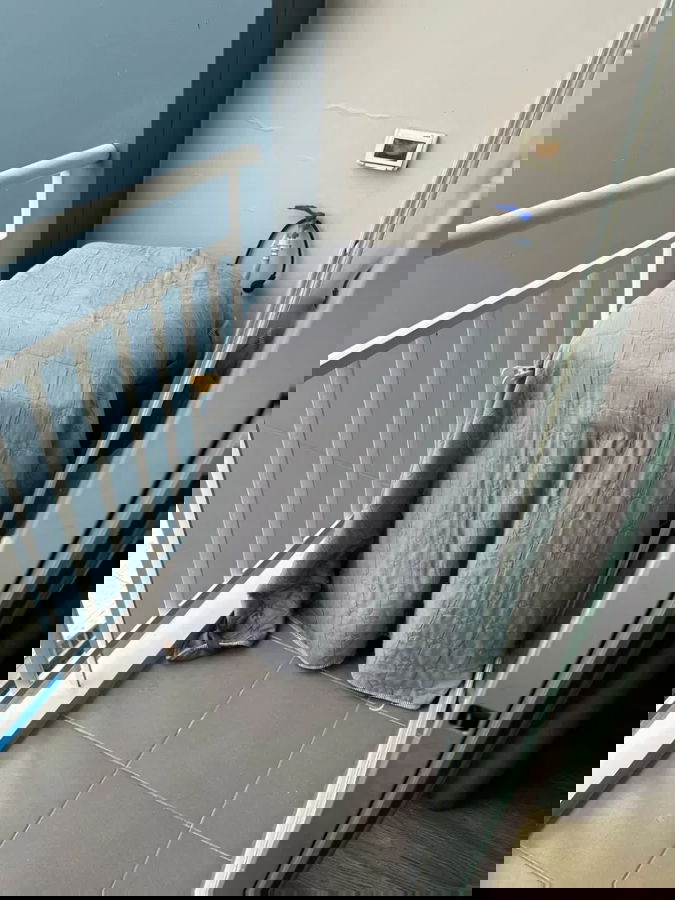 รูป A7291068 ให้เช่า คอนโด Lumpini Ville Phatanakan-Srinakarin ขนาด 34 ตร.ม. ชั้น 12A - รูปที่ 7/7