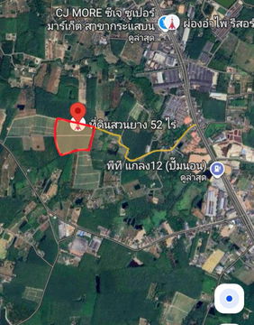 โอกาสลงทุนสวนยาง ทำเลดี อ.แกลง จ.ระยอง จำนวน 52 ไร่, 3 งาน, 20 ตร.ว.