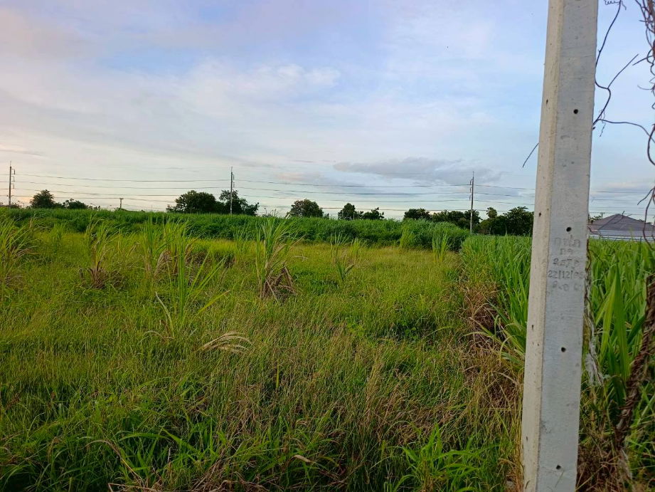 รูป ขายที่ดินเปล่า 5-3-46 ไร่ ทำเลดีมาก ใกล้ถนนแสงชูโต เพียง 150 เมตร – วังศาลา ท่าม่วง กาญจนบุรี - รูปที่ 8/14