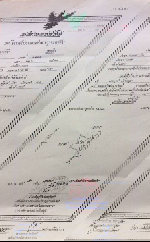 รูป ขายที่ดินบนเกาะ โฉนดถูกต้อง พังงา - รูปที่ 4/12