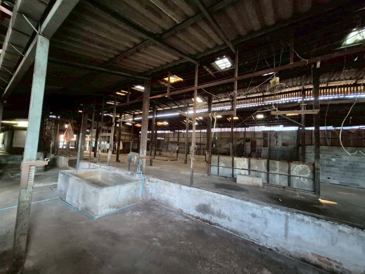 picture Rent Factory area 1 Rai, Purple Area, at Soi Petchkasem 41 - 1/5