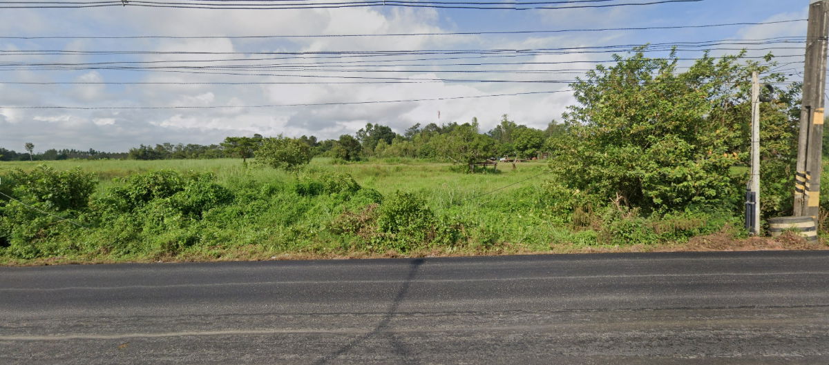 รูป ✅ขายที่ดิน 30ไร่3งาน3ตรว. ถมแล้ว พื้นที่สีเขียว หน้าหว้าง 405ม. ถนนทางหลวงแผ่นดิน 211 หนองสองห้อง-ท่าบ่อ ตำบลบ้านเดื่อ อำเภอท่าบ่อ หนองคาย  - รูปที่ 7/10